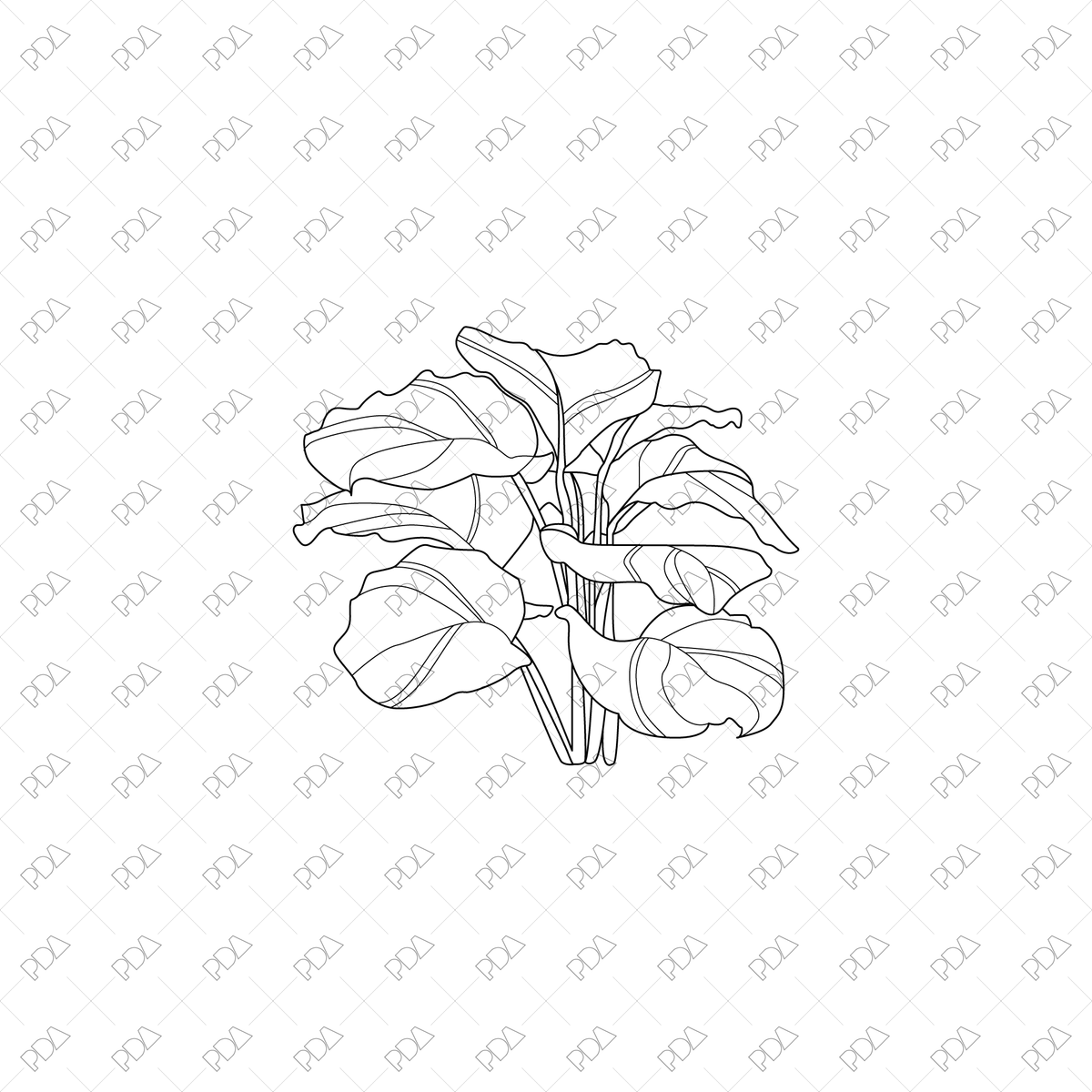 Large Leaves Plants Multi-Pack - CAD & Vector