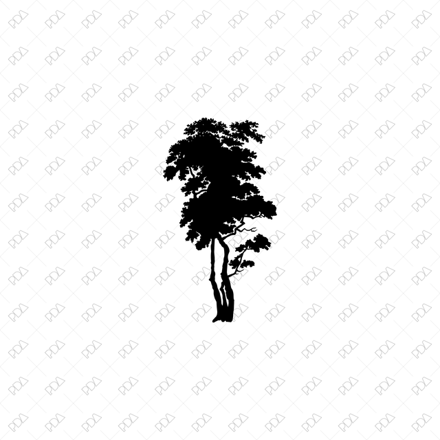 Vector, PNG Trees and Plants Silhouettes Multi-Pack (50+ PNGs) - Post Digital Architecture — Free and Affordable Resources for Architects