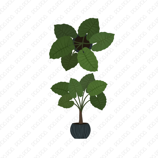 Indoor Plants Multi-Pack (Top View and Side View) - Post Digital Architecture — Free and Affordable Resources for Architects