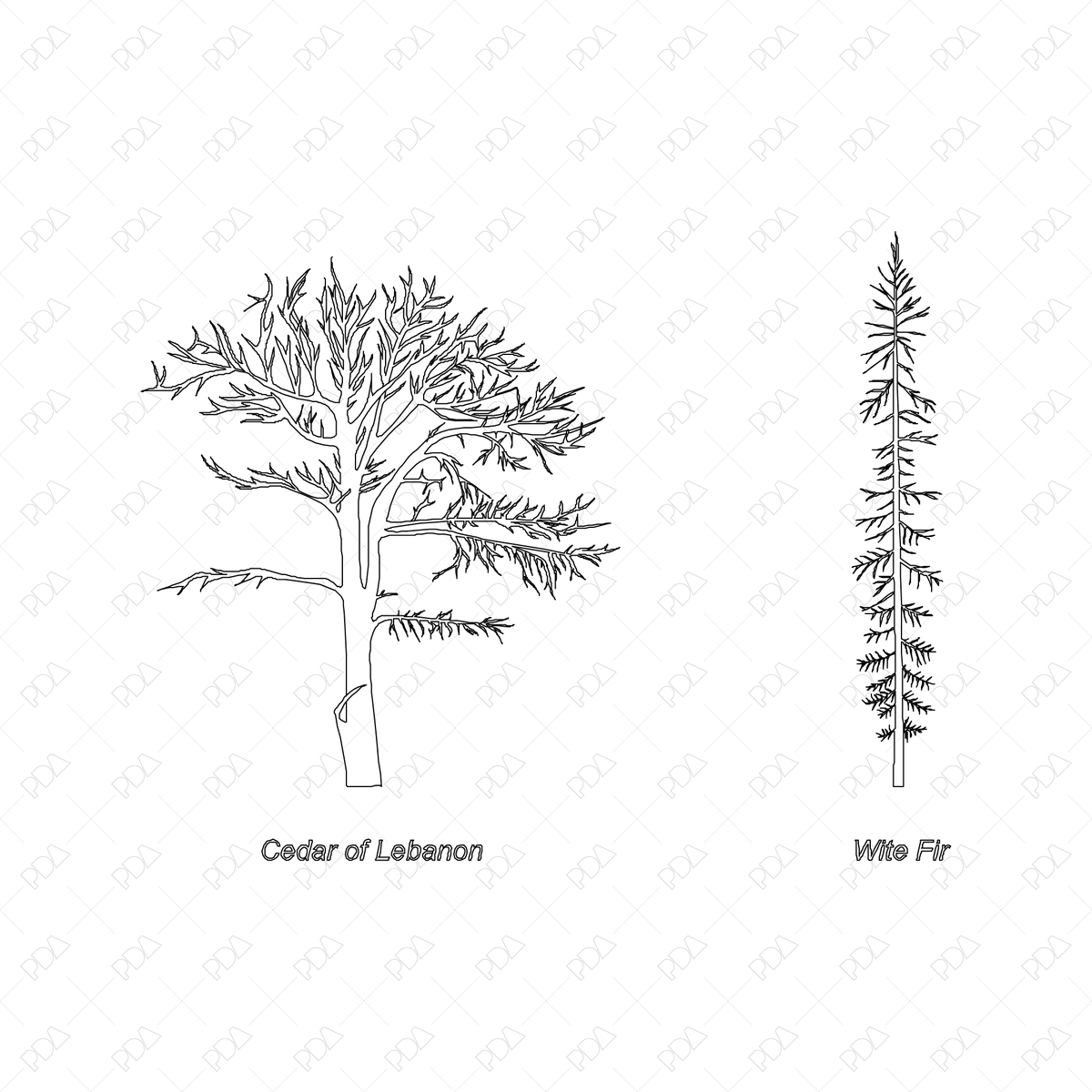 CAD & Vector Line Art Trees - Side View