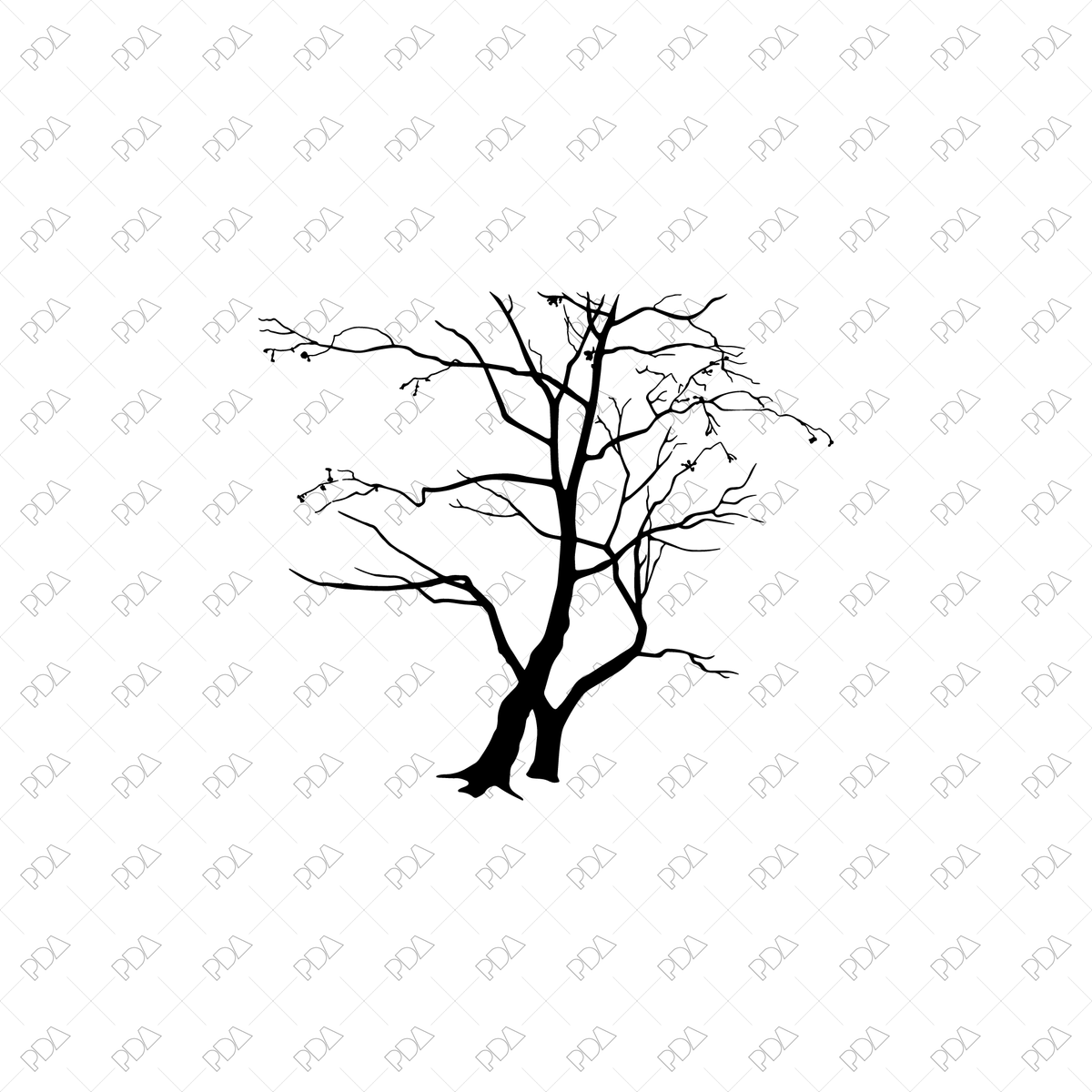 50+ Vector & PNG Tree Silhouettes Pack