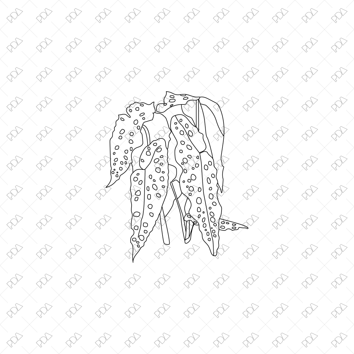Large Leaves Plants Multi-Pack - CAD & Vector