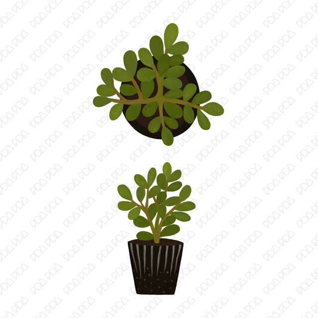 Indoor Plants Multi-Pack (Top View and Side View) - Post Digital Architecture — Free and Affordable Resources for Architects