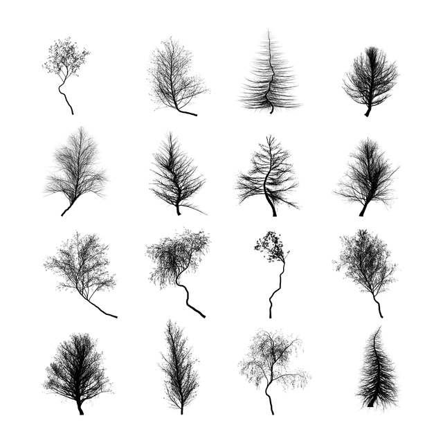 PNG Ugly Trees Silhouettes Set