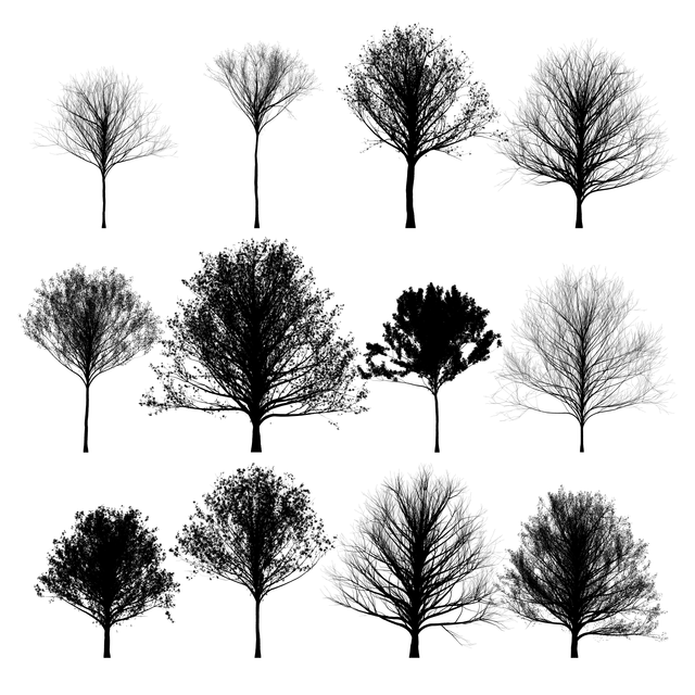 PNG Oak Trees Silhouettes Set
