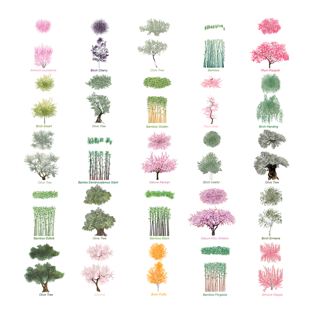 PNG Japanese Style Trees Multi-Pack 2 (Topview + Sideview) - Post Digital Architecture — Free and Affordable Resources for Architects