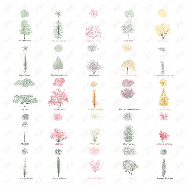 Vector and PNG Colorful Japanese Style Trees (Recommended)