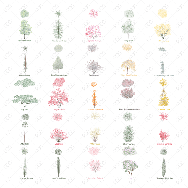 Vector and PNG Colorful Japanese Style Trees (Topview + Sideview) - Post Digital Architecture — Free and Affordable Resources for Architects