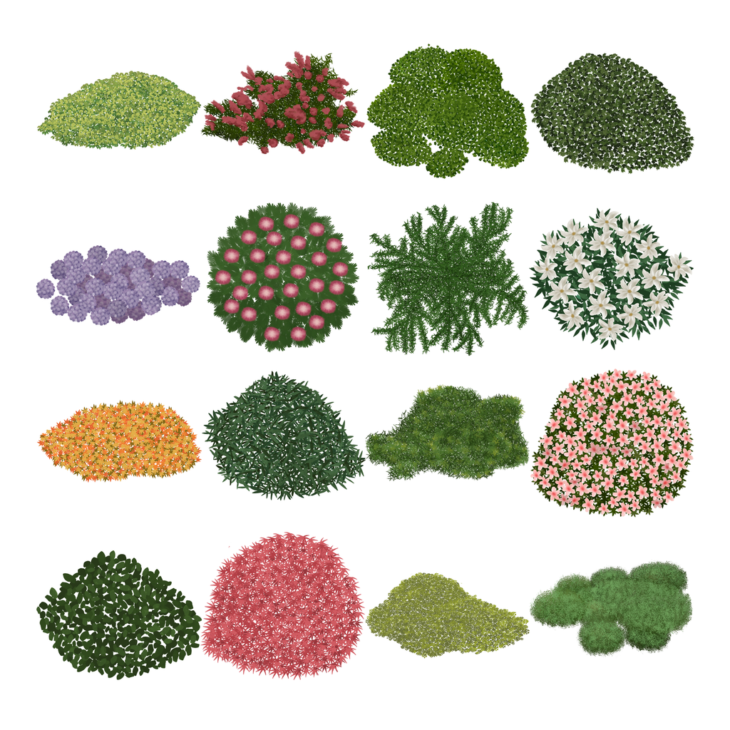 PNG Shrubs and Bushes in Top View Set | Post Digital Architecture PNG Shrubs and Bushes in Top View Set | Post Digital Architecture