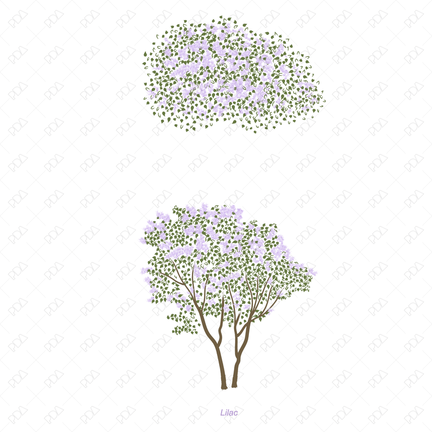 Colorful Japanese Style Trees Vectors & PNGs