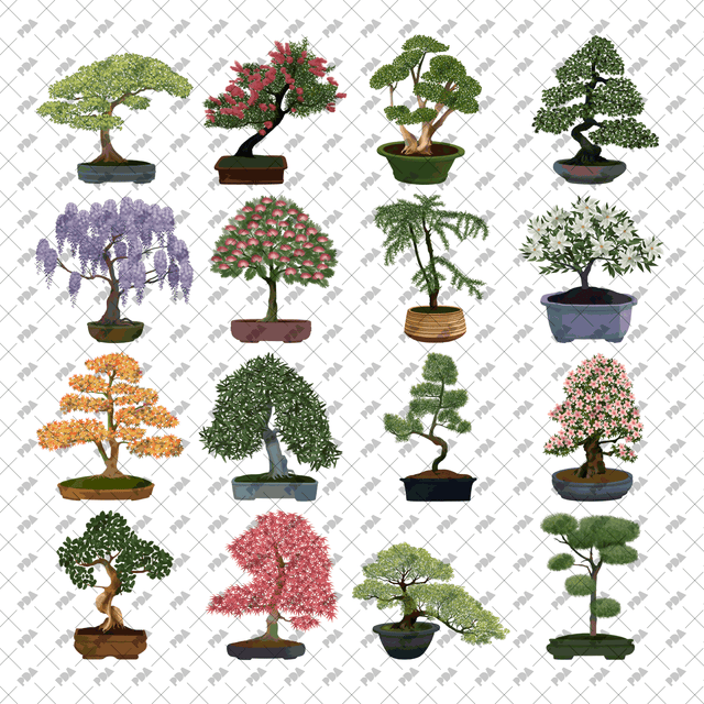 PNG Bonsai Trees in Side View Set - Post Digital Architecture — Free and Affordable Resources for Architects