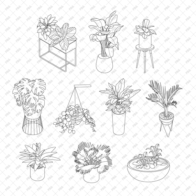 CAD, Vector Isometric Plants in Planters