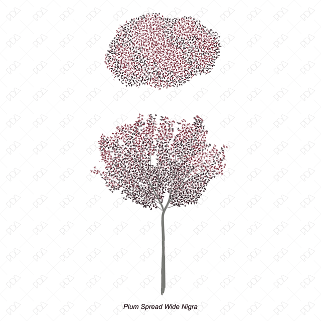 Vector and PNG Colorful Japanese Style Trees (Topview + Sideview)